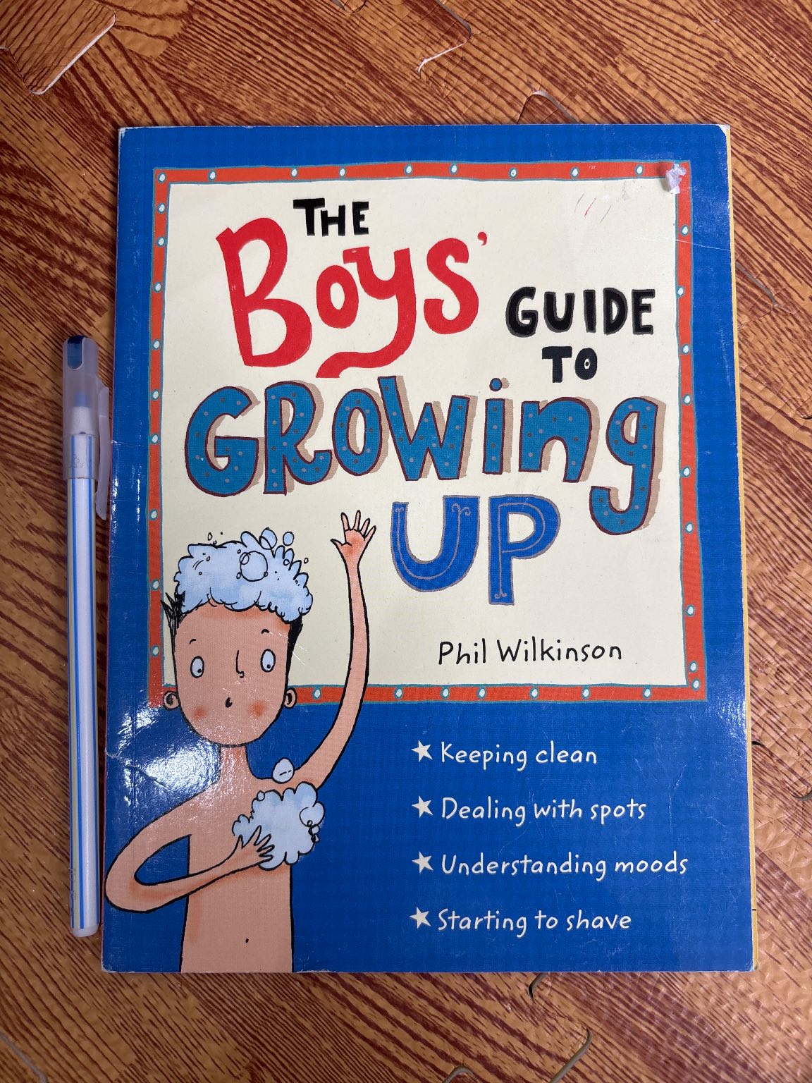 THE Boys' GUIDE TO GROWING UP — ảnh 1