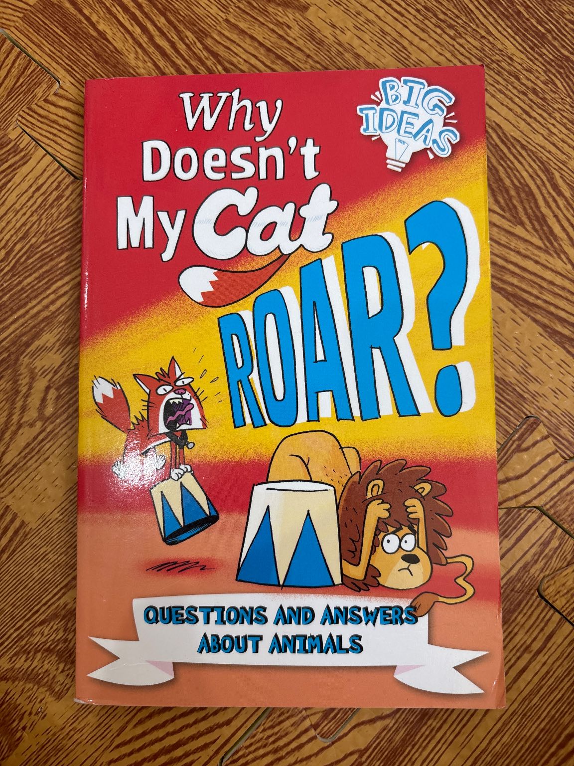 Why Doesn't My Cat ROAR!? — ảnh 1
