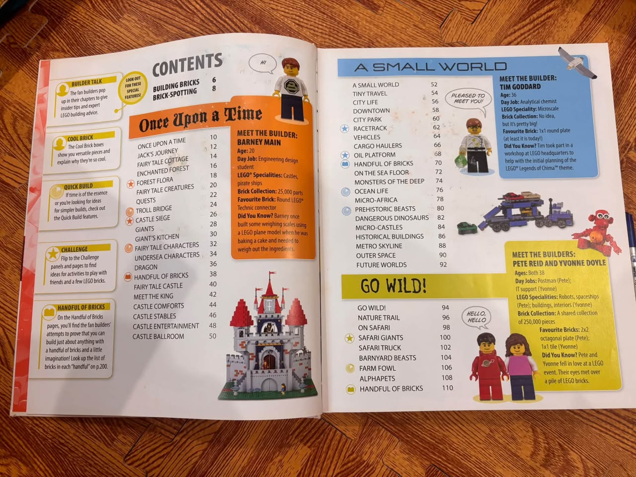 LEGO PLAY BOOK: IDEAS TO BRING YOUR BRICKS TO LIFE — ảnh 3