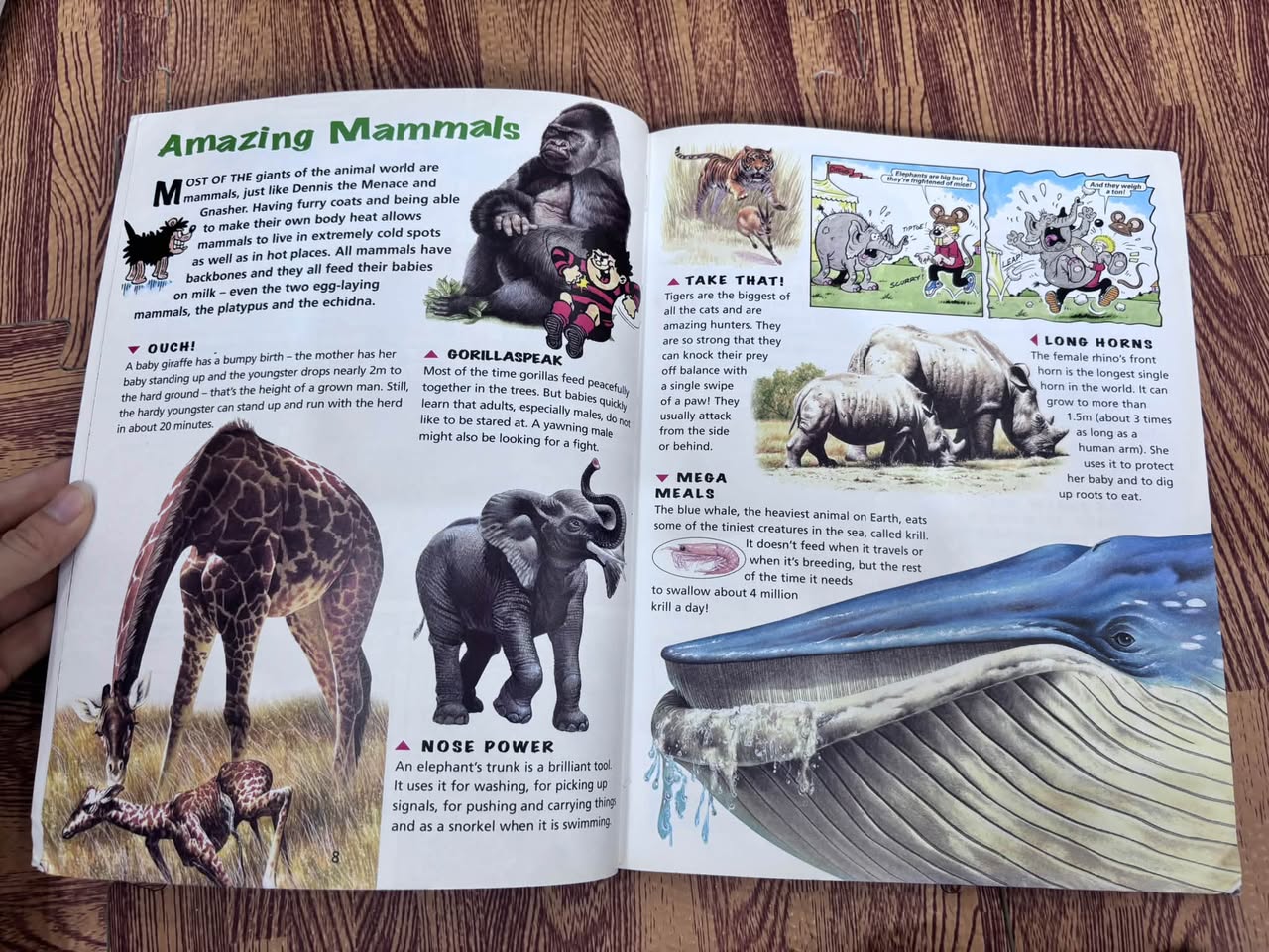 The Beano Book of Amazing Animals — ảnh 5