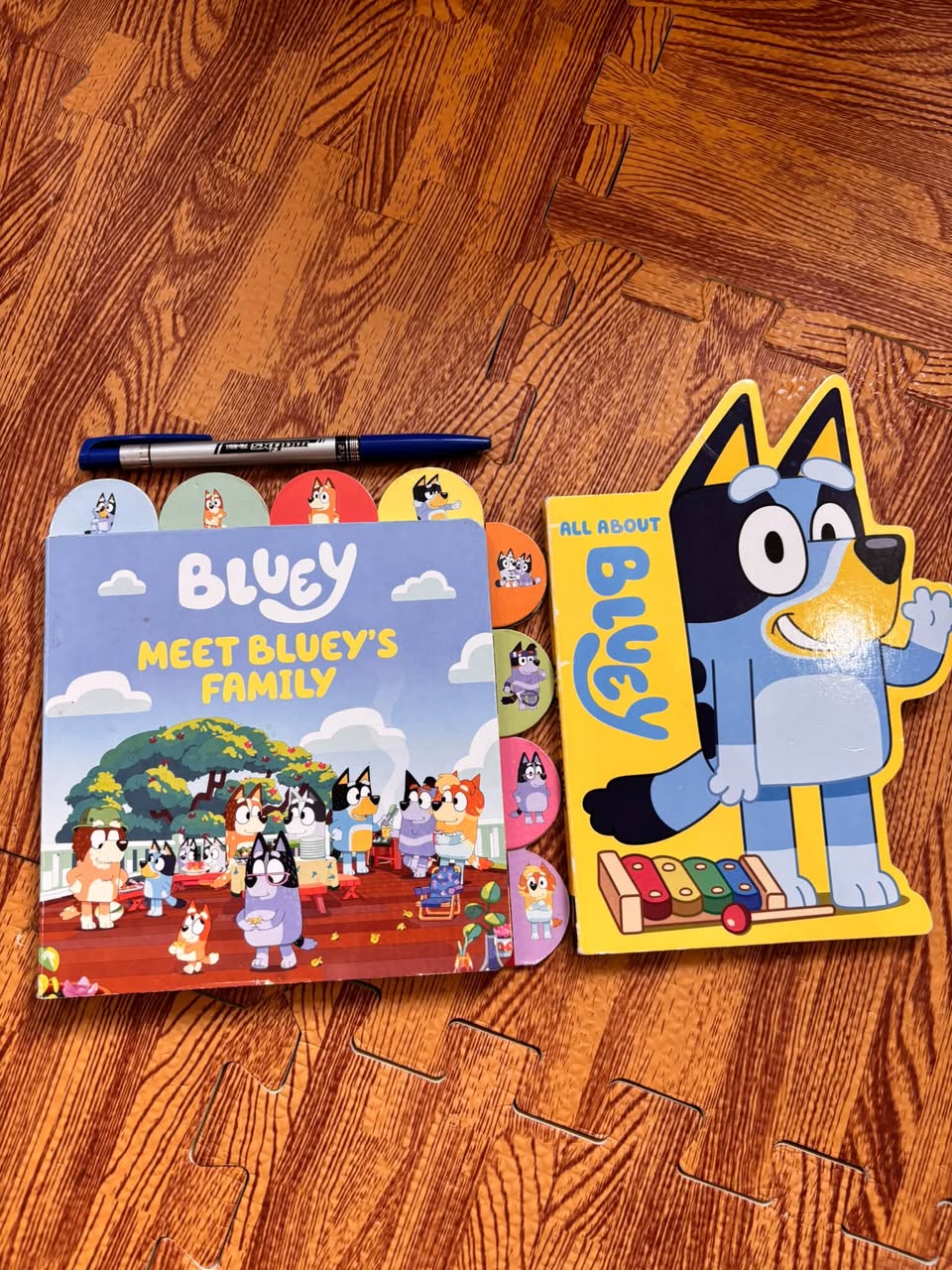 SET 2 CUỐN SÁCH BỒI CỨNG BLUEY (BOARD BOOKS) — ảnh 1