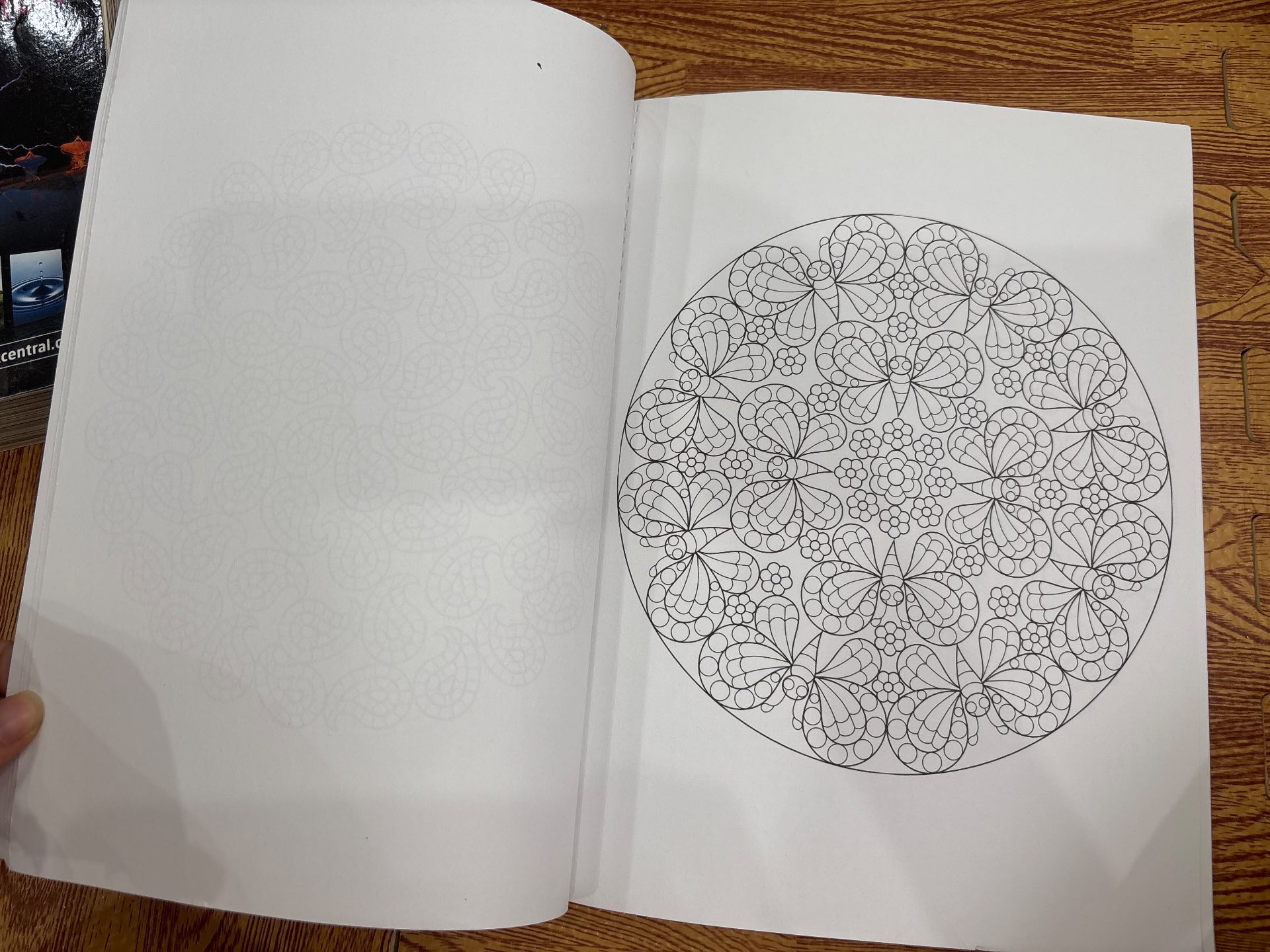 Paisley Mandalas — ảnh 2