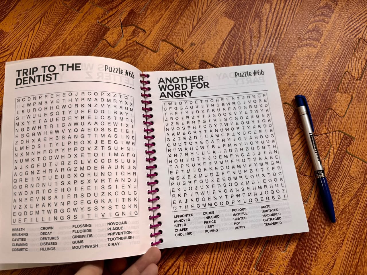 BENDON WORD SEARCH PUZZLE BOOK (250 CHALLENGING PUZZLES) — ảnh 3