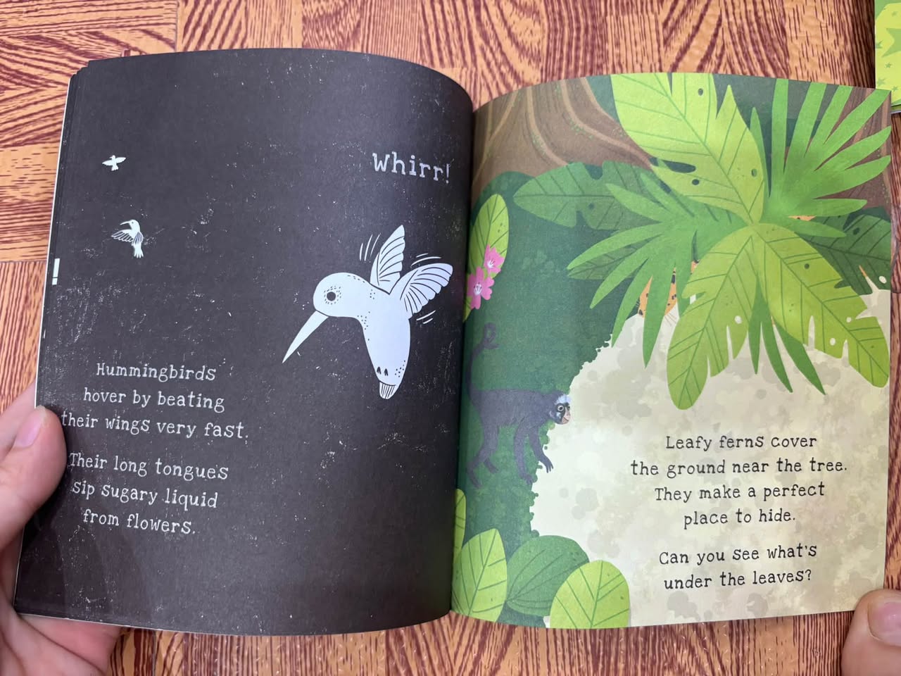 SECRETS OF THE RAINFOREST (A SHINE-A-LIGHT BOOK) — ảnh 4