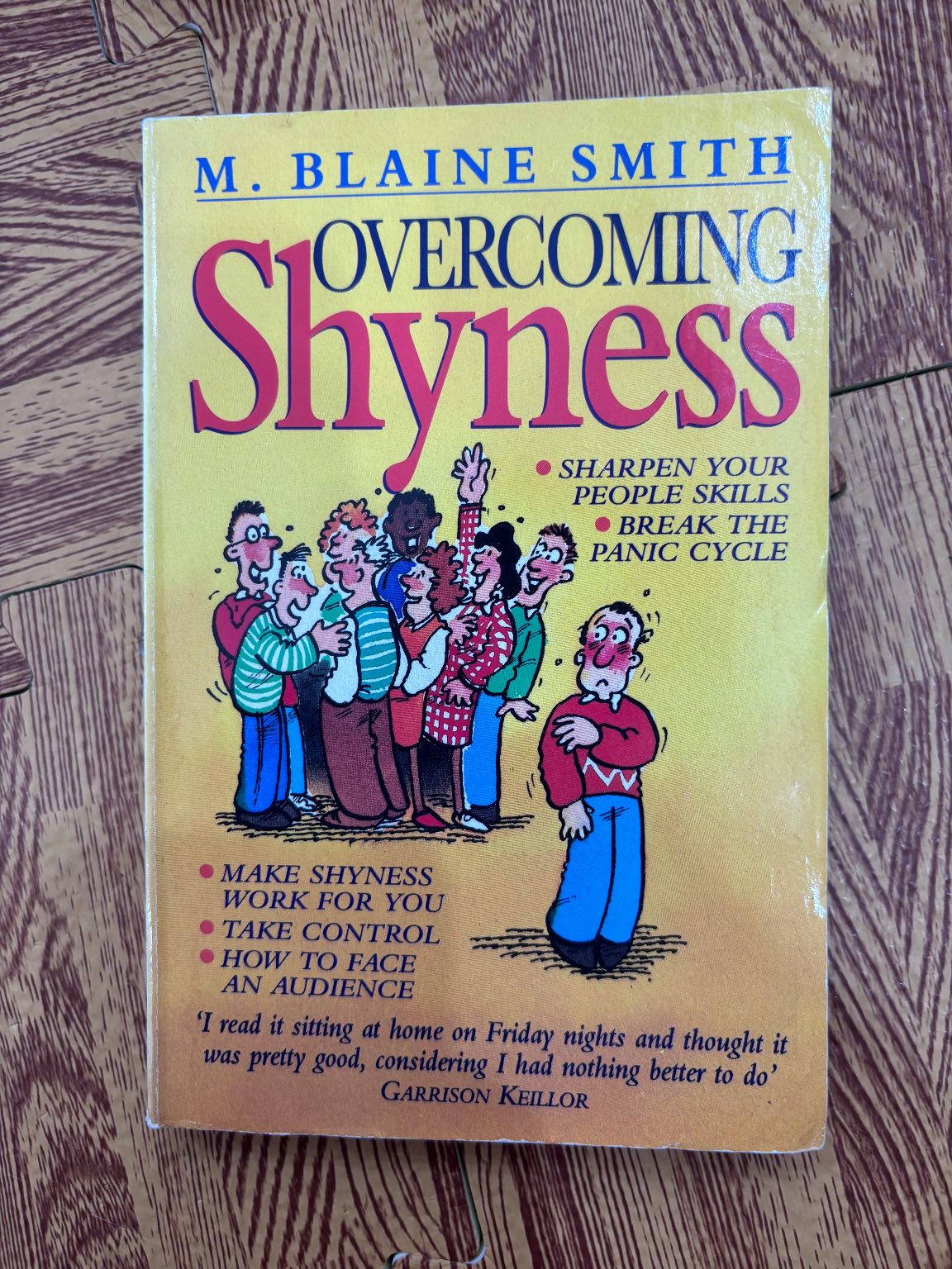 Overcoming Shyness — ảnh 1