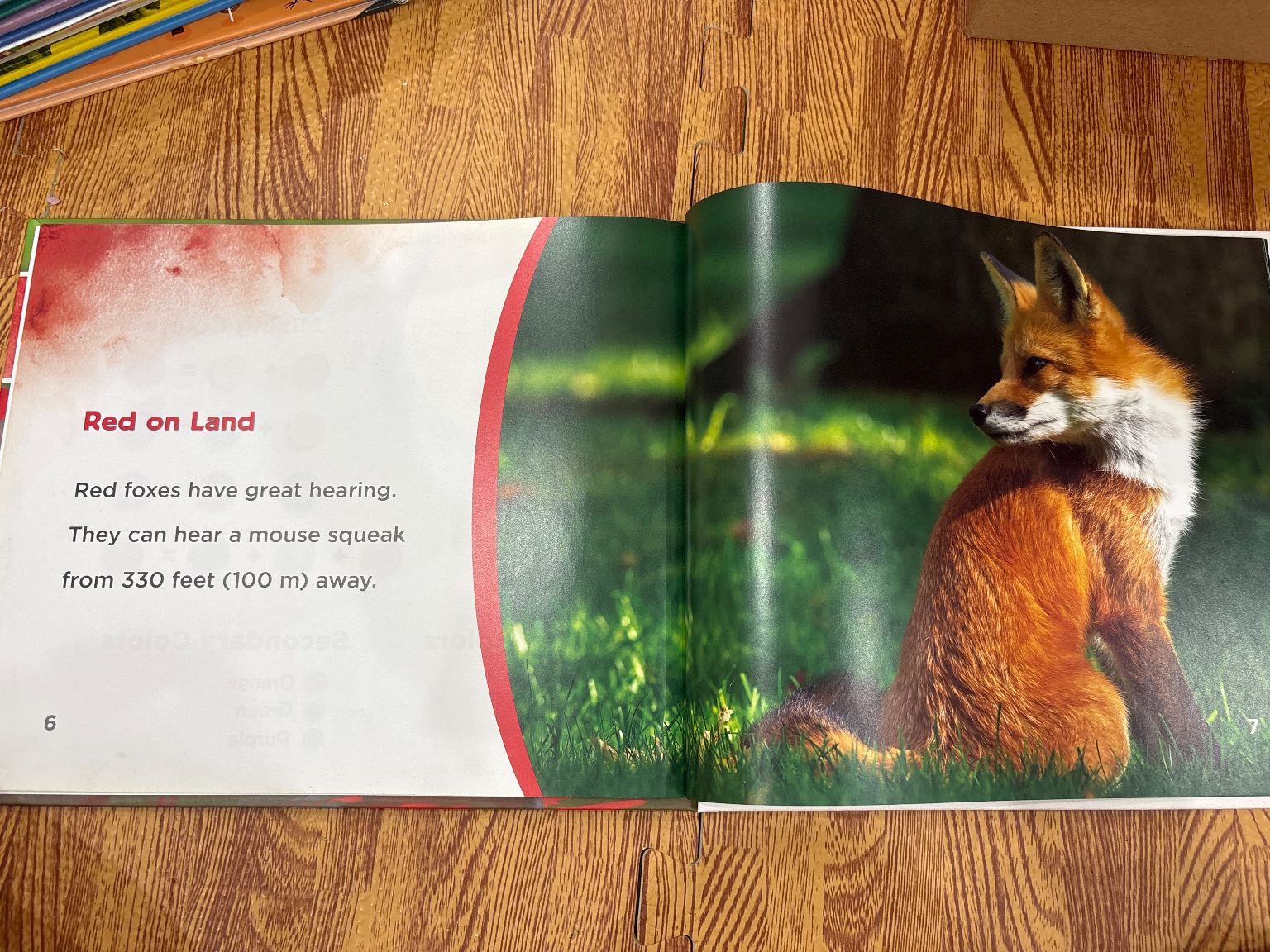 Red Animals — ảnh 2