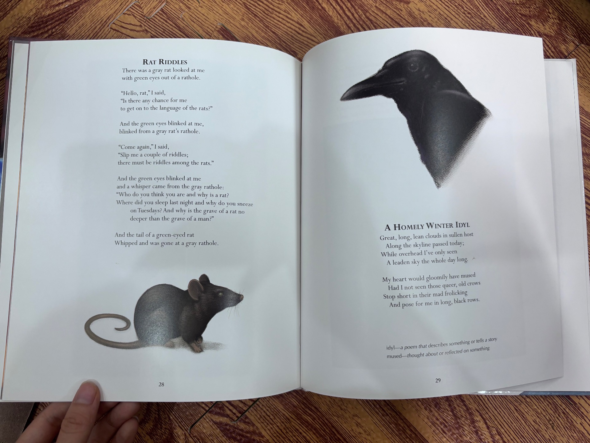 Poetry for Young People Carl Sandburg — ảnh 2
