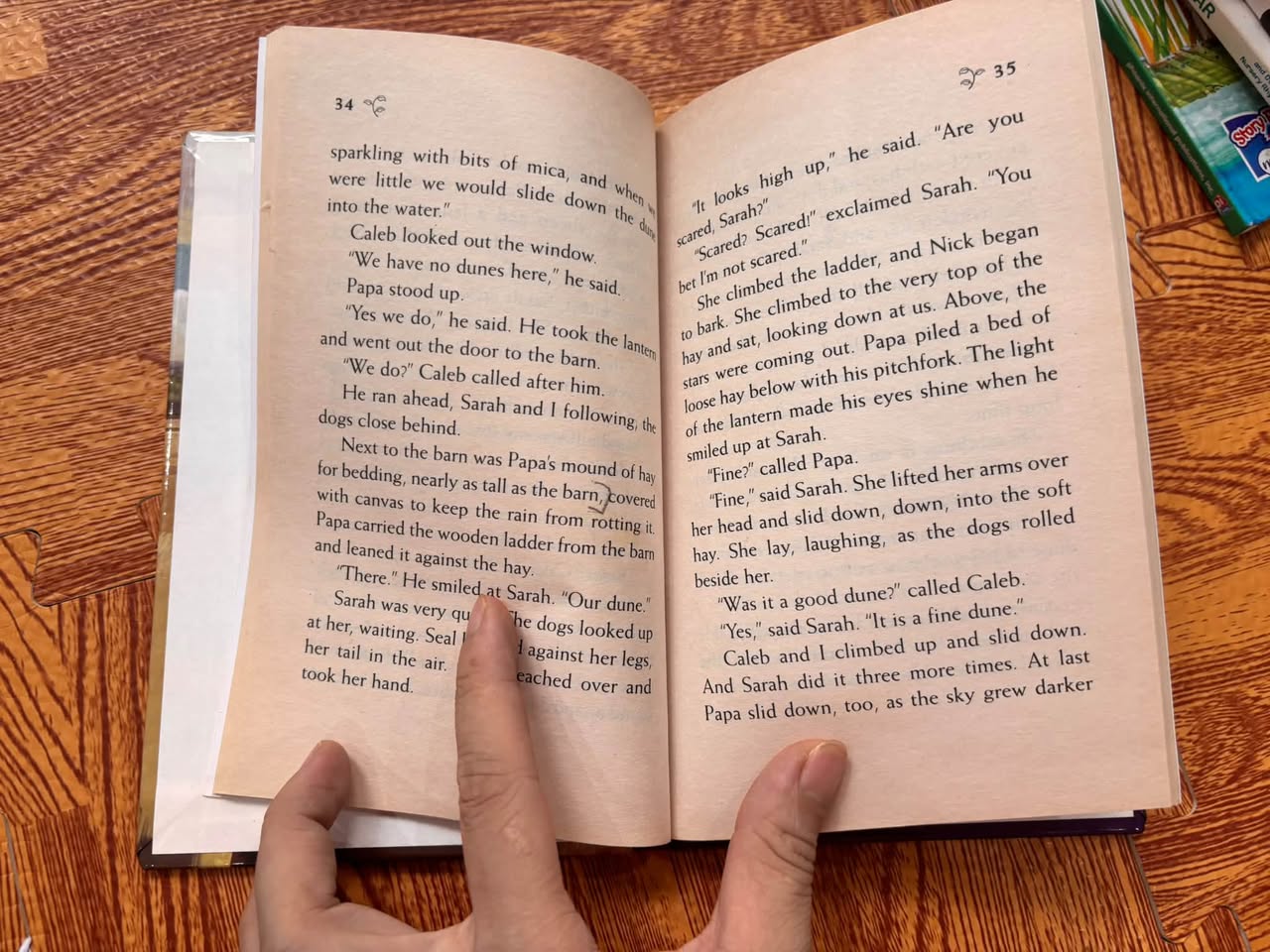 SARAH, PLAIN AND TALL (PATRICIA MACLACHLAN) — ảnh 3