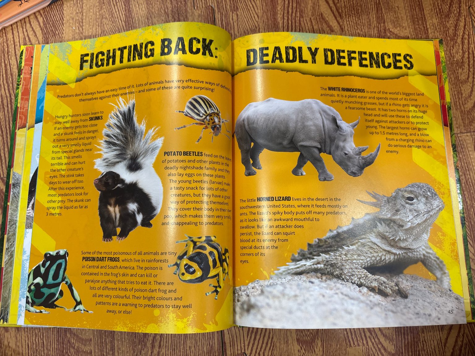 Deadly 2016 Annual — ảnh 5