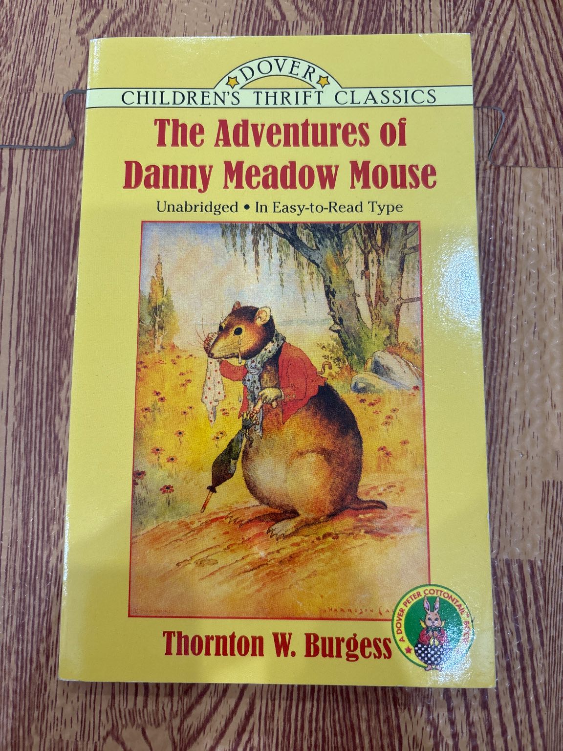 The Adventures of Danny Meadow Mouse — ảnh 1