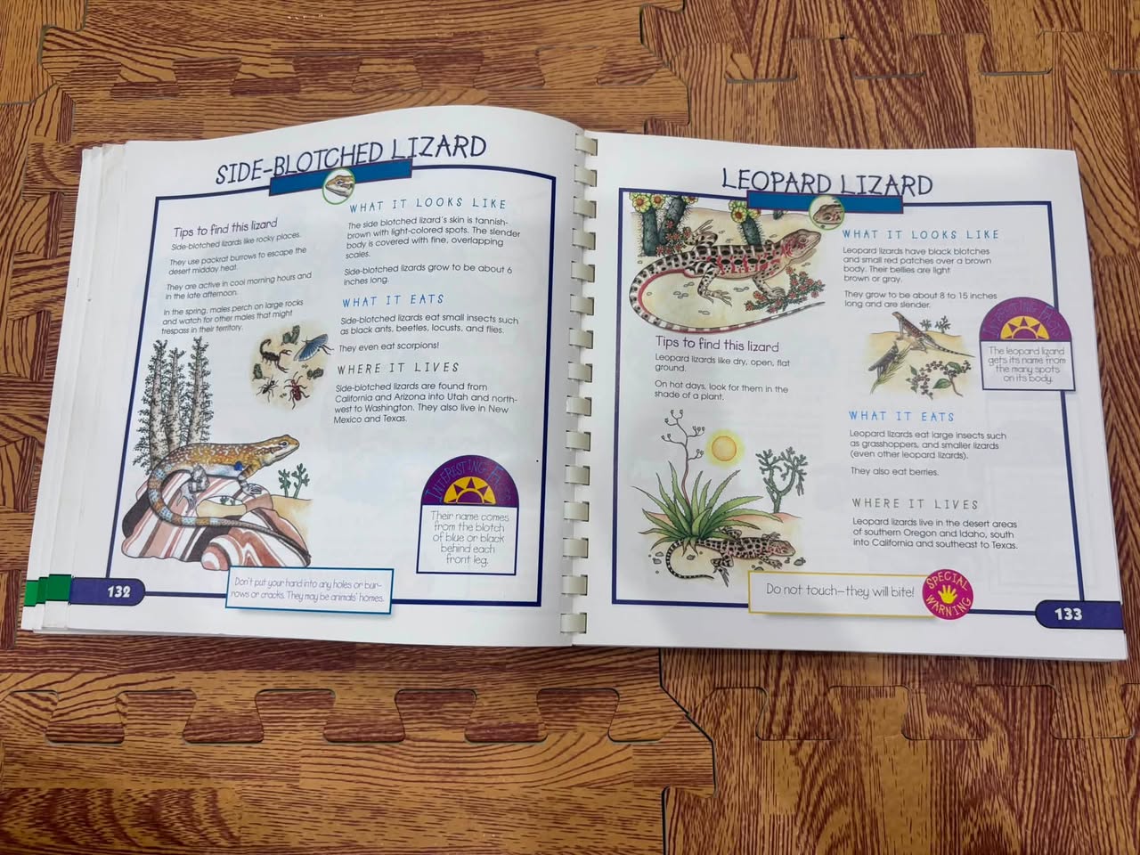 FUN WITH NATURE: TAKE-ALONG GUIDE — ảnh 4