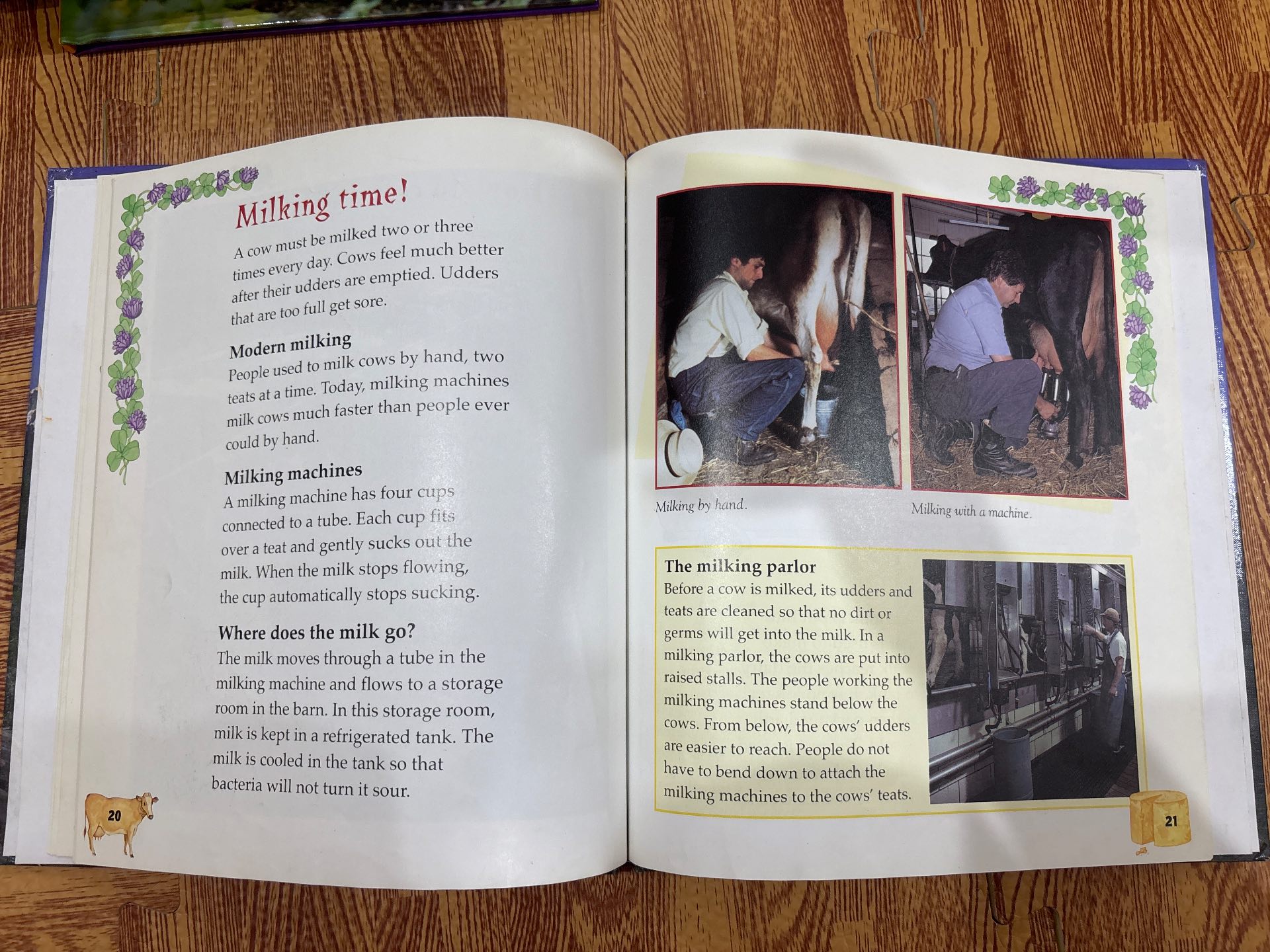 Hooray for DAIRY FARMING! — ảnh 5