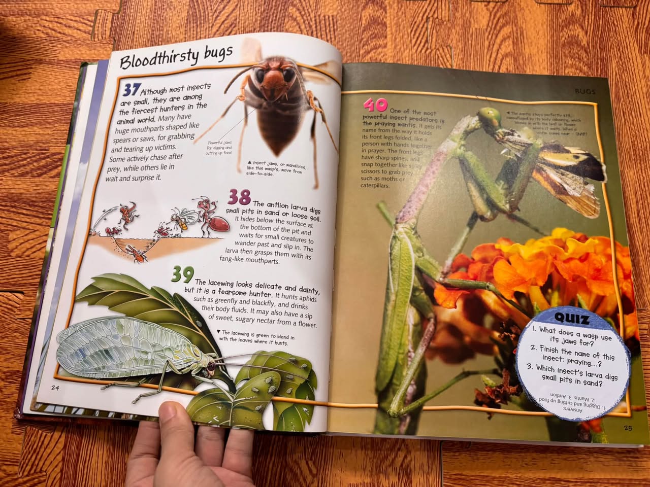 CHILDREN'S ENCYCLOPEDIA ANIMALS: 500 ILLUSTRATED FACTS (MILES KELLY) — ảnh 4