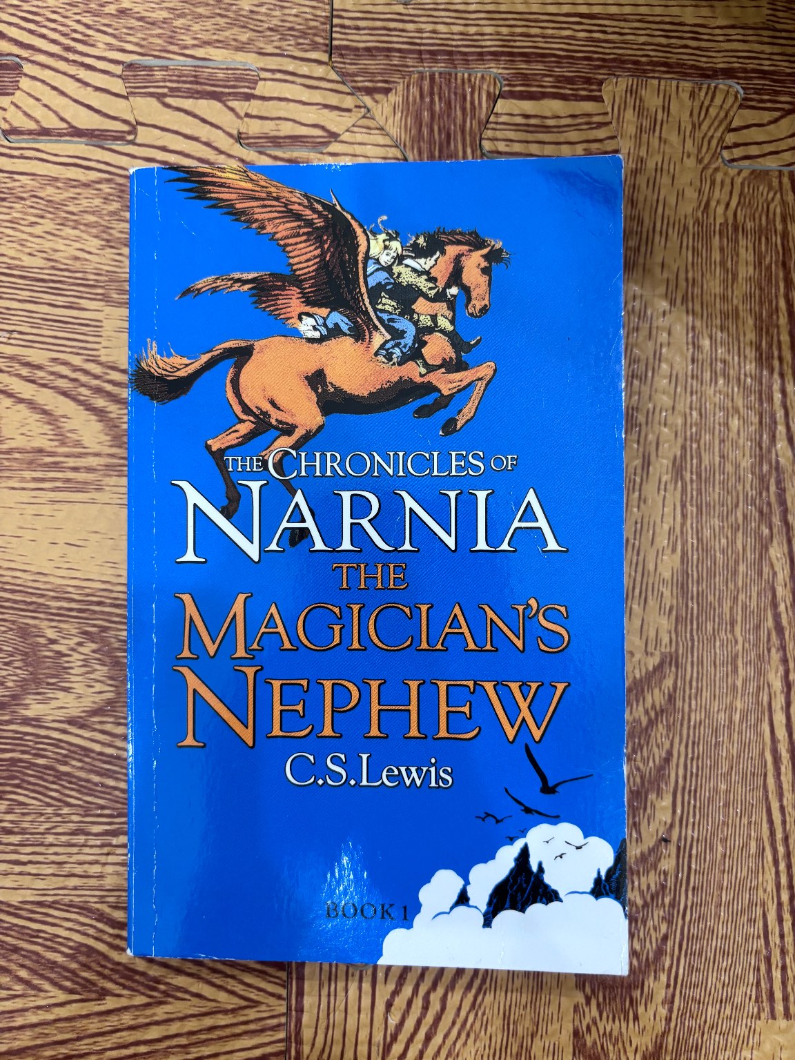 THE CHRONICLES OF NARNIA THE MAGICIAN'S NEPHEW — ảnh 1