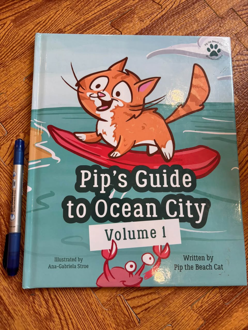 PIP'S GUIDE TO OCEAN CITY: VOLUME 1 (PIP THE BEACH CAT & ANA-GABRIELA STROE) — ảnh 1