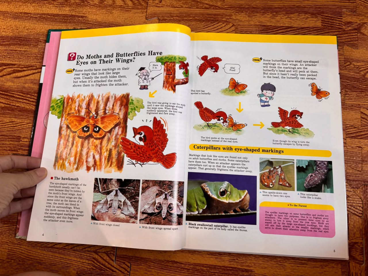ANIMALS IN ACTION (A CHILD'S FIRST LIBRARY OF LEARNING - TIME LIFE) — ảnh 2