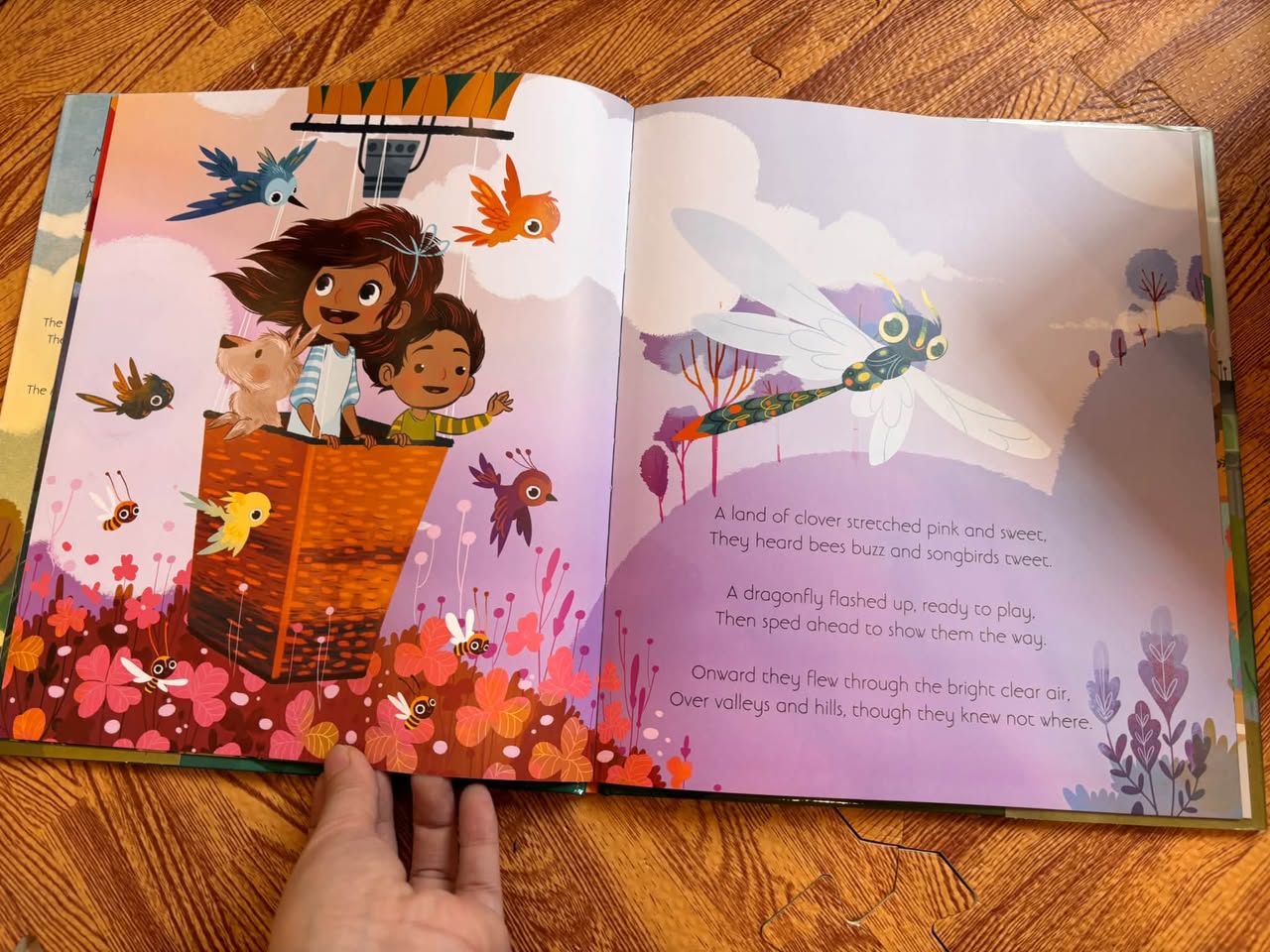 THE NOON BALLOON (MARGARET WISE BROWN & LORENA ALVAREZ) — ảnh 5