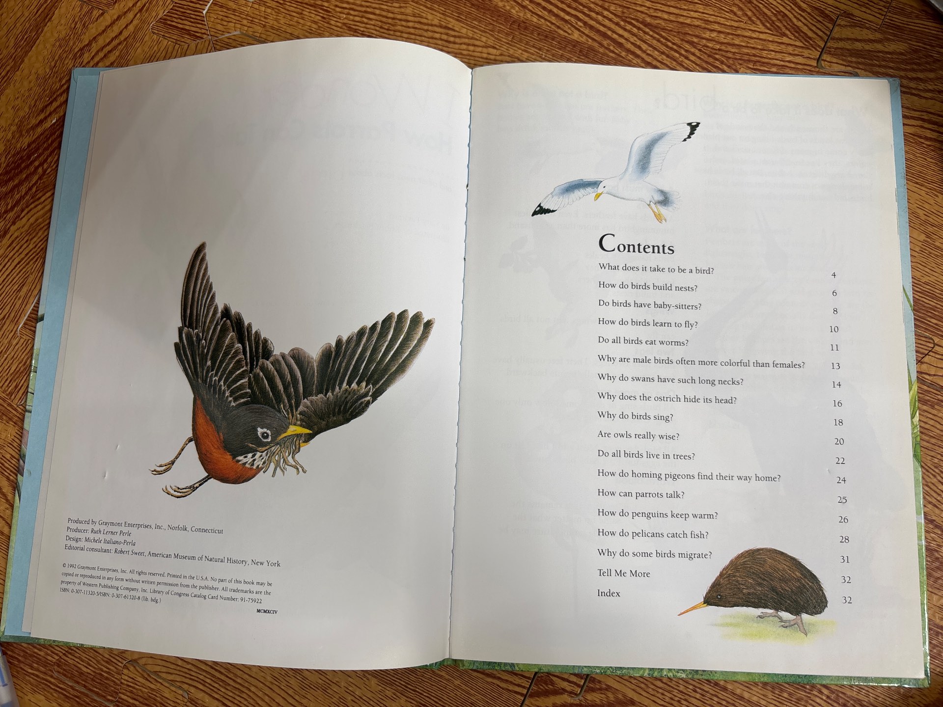 I Wonder How Parrots Can Talk — ảnh 2
