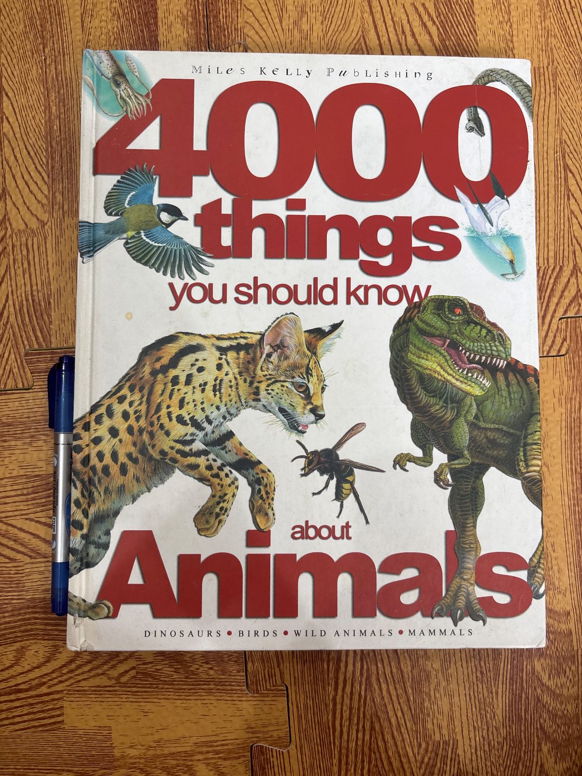 4000 things you should know about Animals — ảnh 1