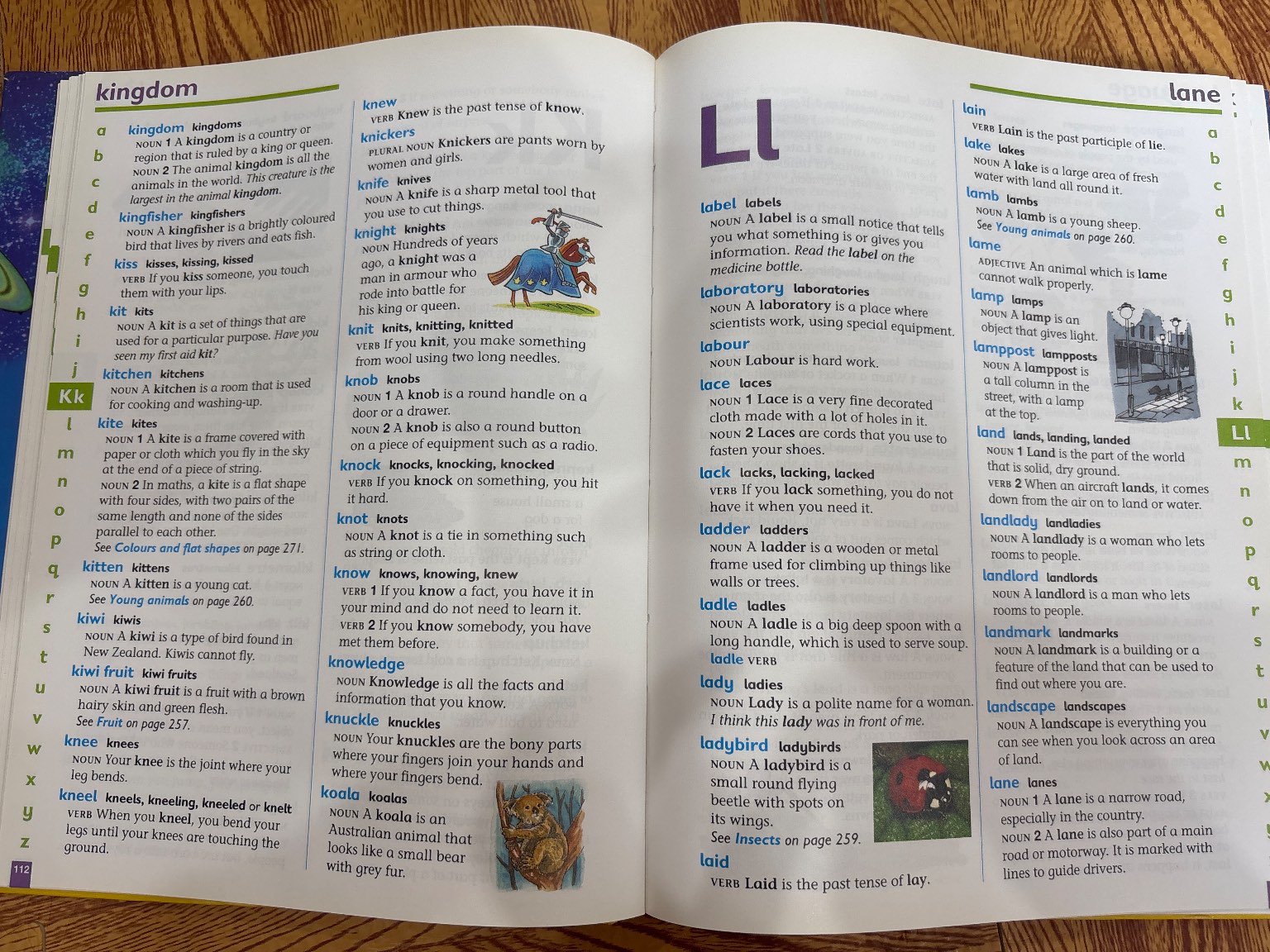 Collins Junior Dictionary — ảnh 5