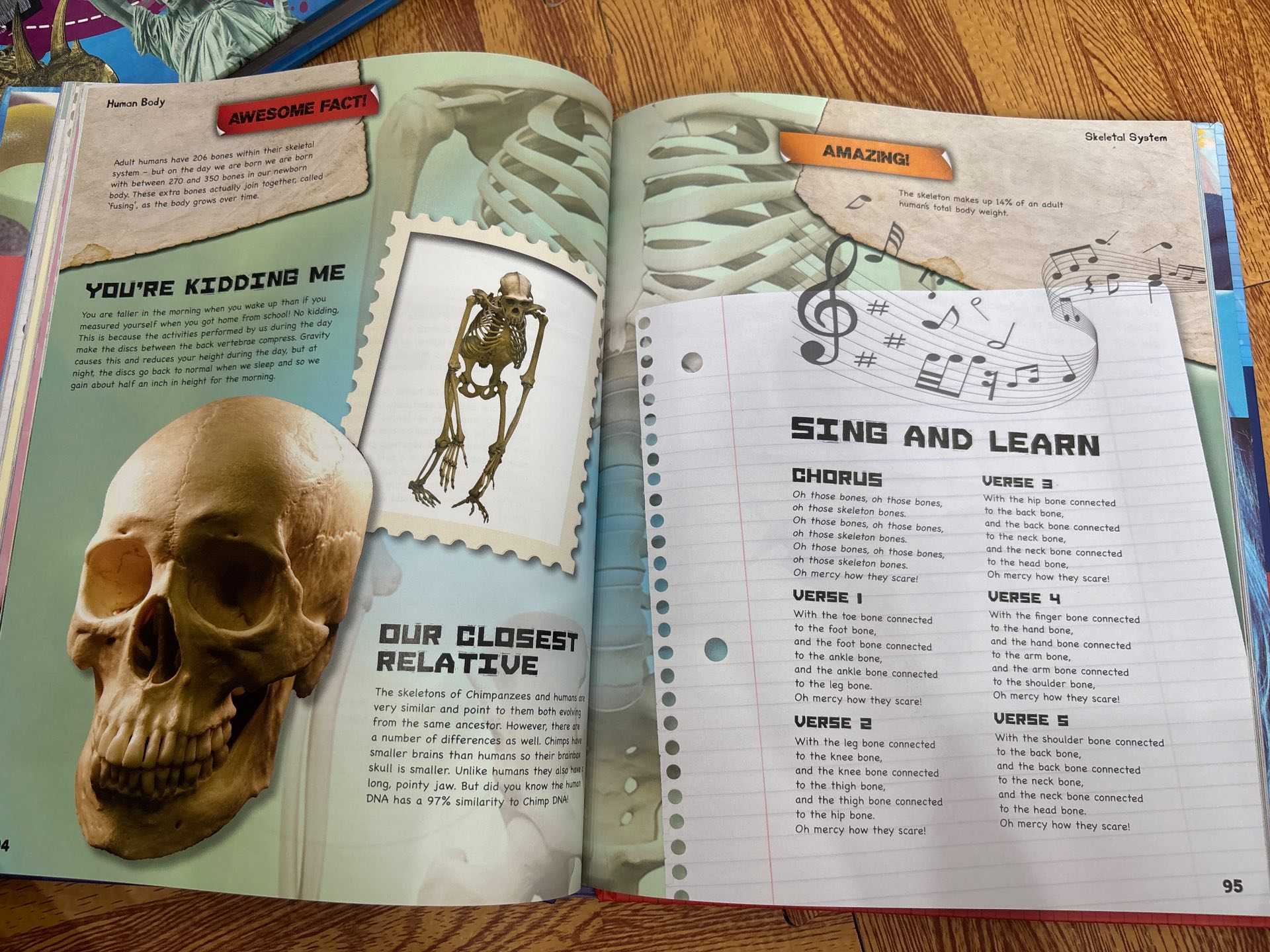 The Interactive Human Body — ảnh 5