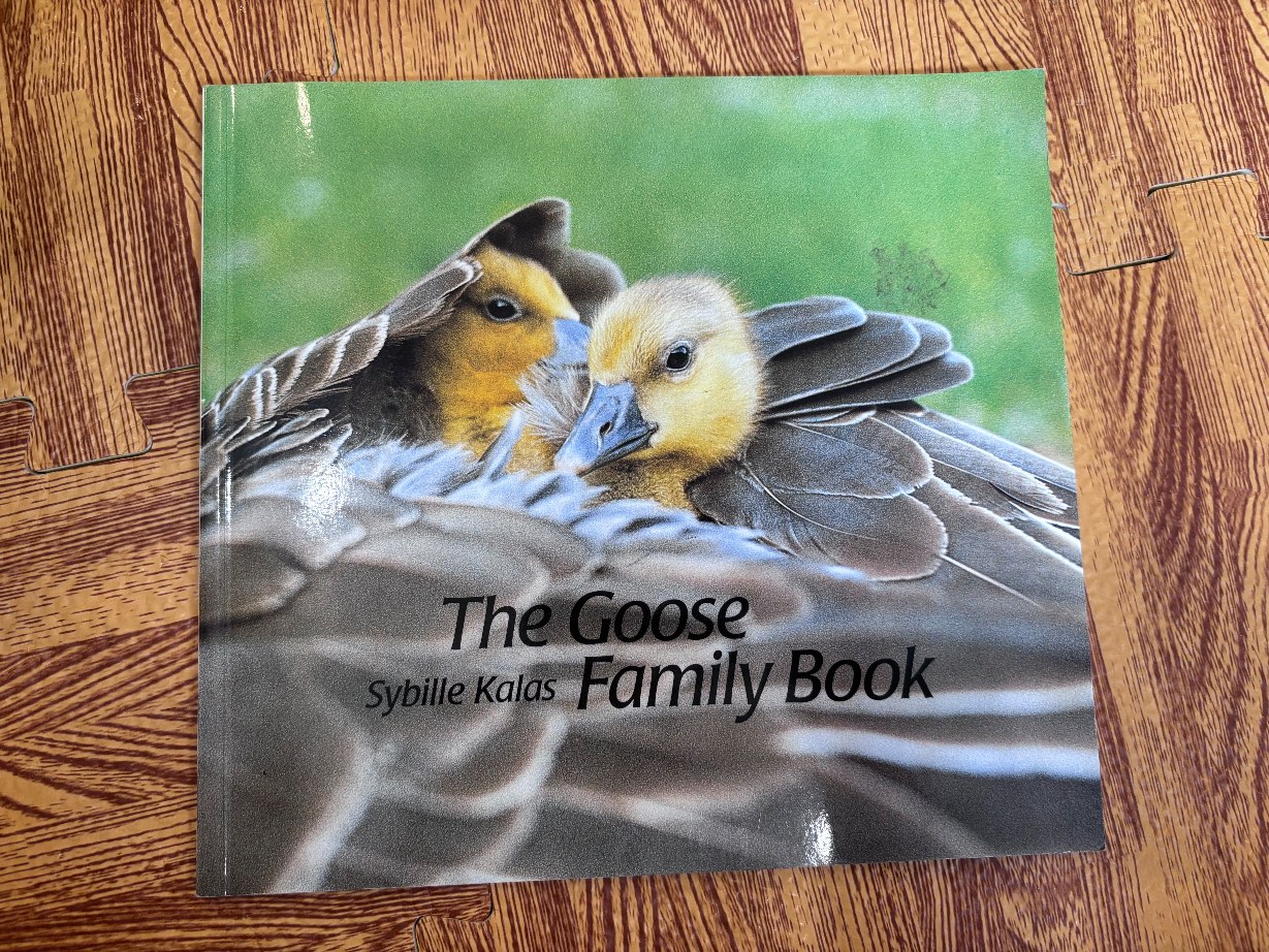 The Goose Family Book