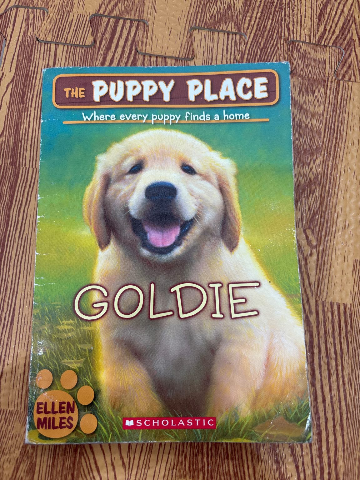 Goldie — ảnh 1
