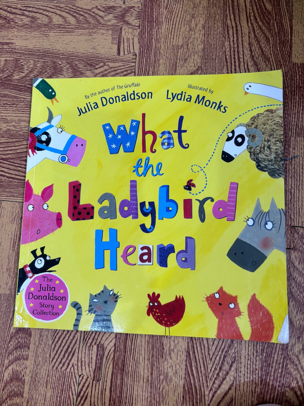 What the Ladybird Heard — ảnh 1