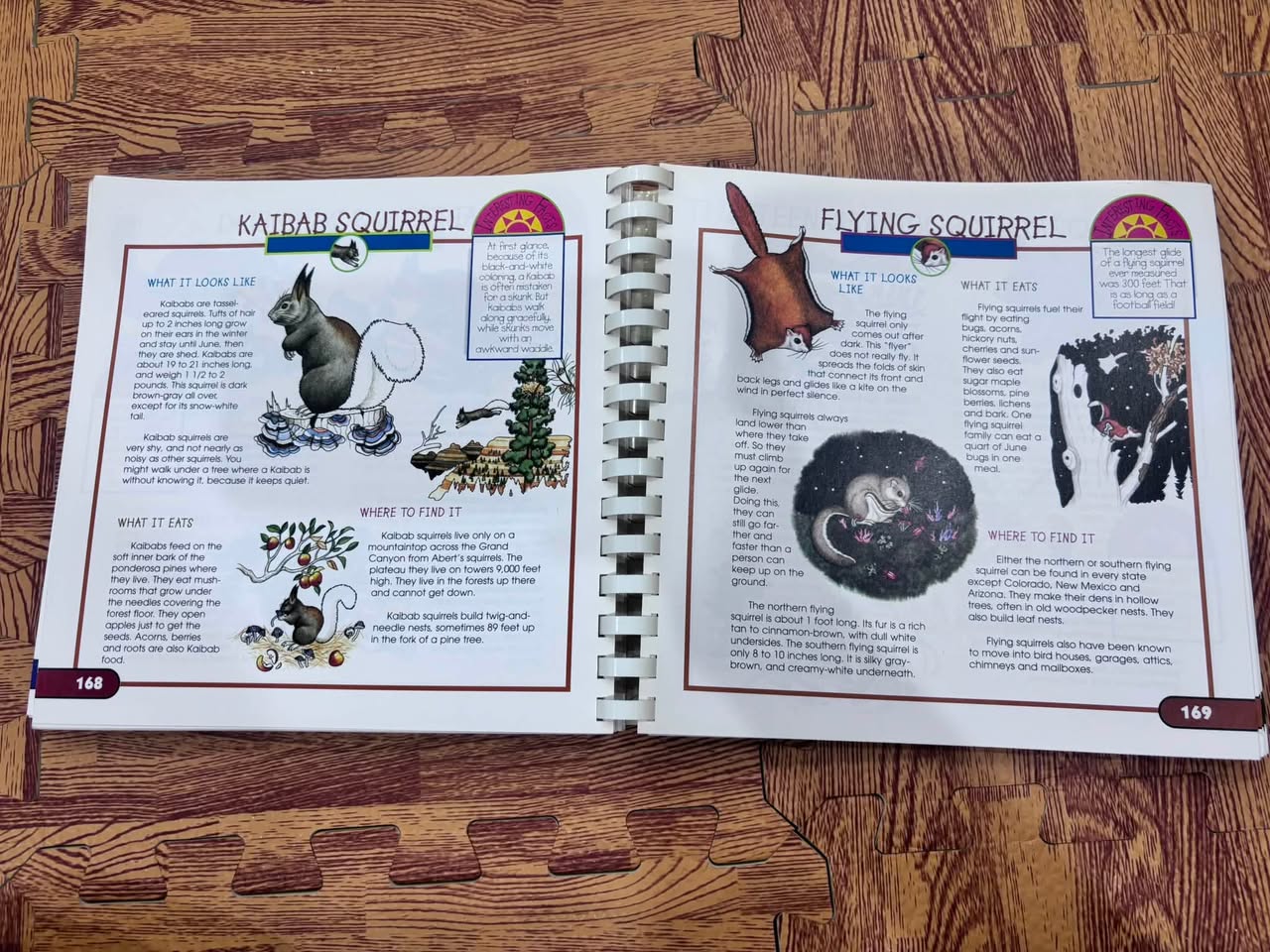 FUN WITH NATURE: TAKE-ALONG GUIDE — ảnh 5