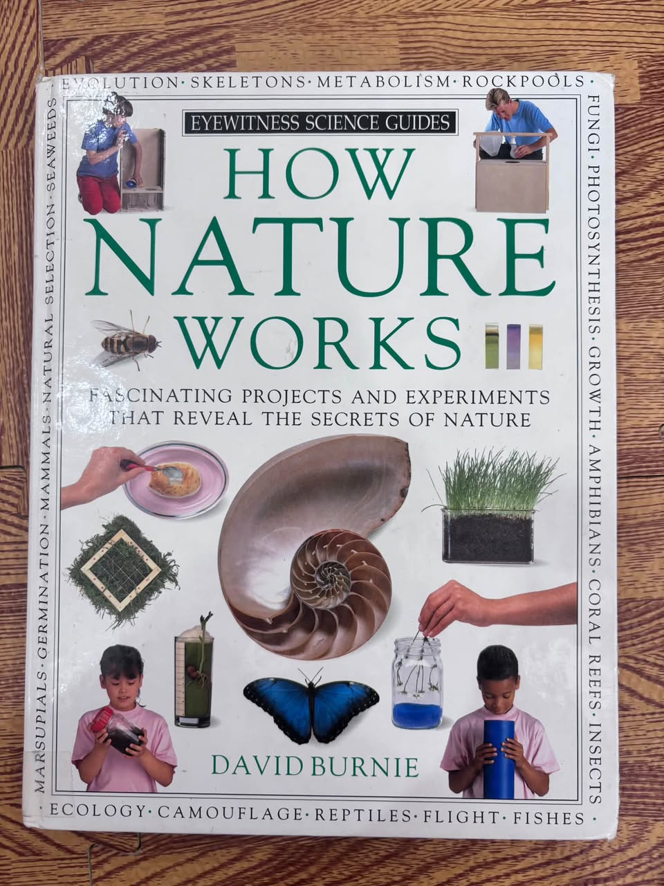 EYEWITNESS SCIENCE GUIDES: HOW NATURE WỬOKS