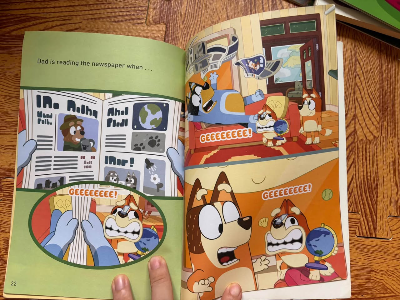 SET 3 QUYỂN BLUEY (LADYBIRD BOOKS) — ảnh 5