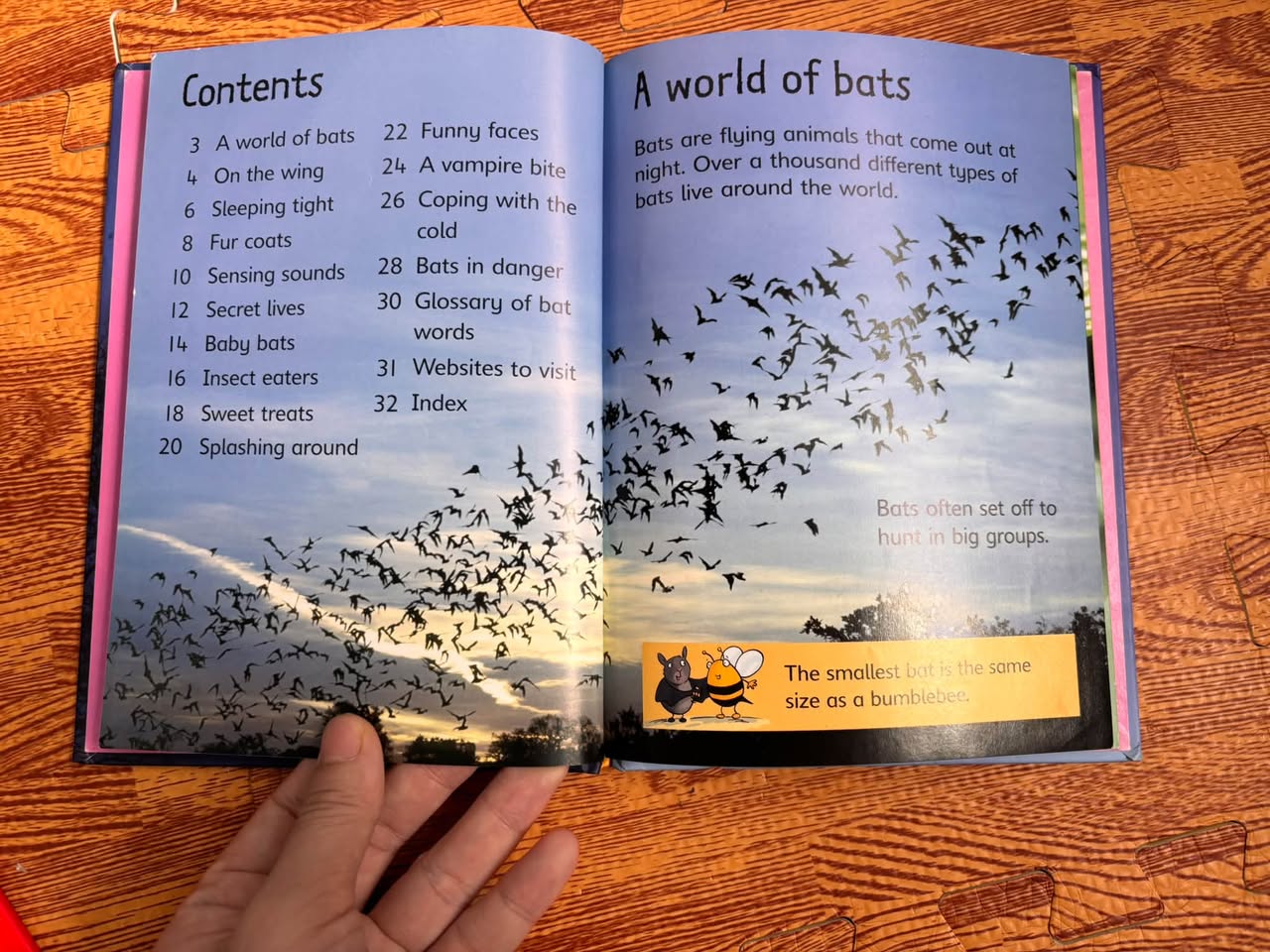 BATS (USBORNE BEGINNERS) — ảnh 2