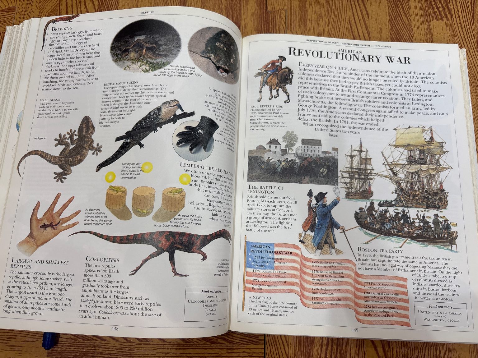 Children's Illustrated Encyclopedia — ảnh 6
