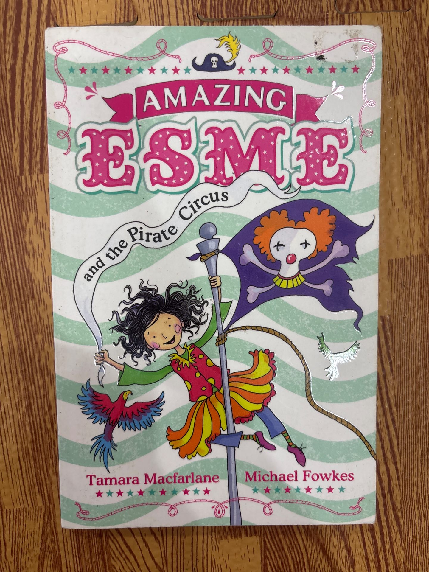Amazing Esme and the Pirate Circus — ảnh 1