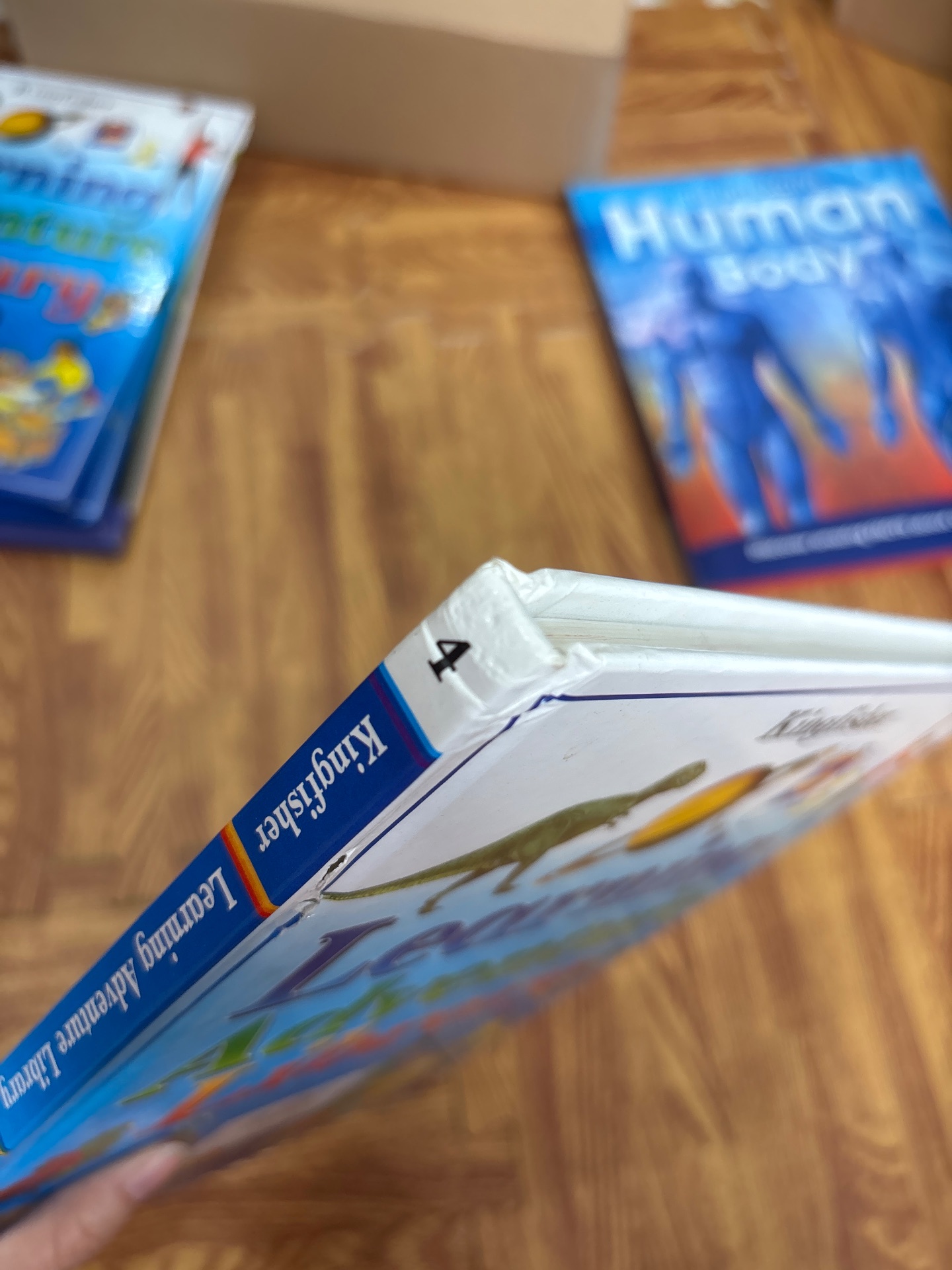 Learning Adventure Library 4 my body — ảnh 7