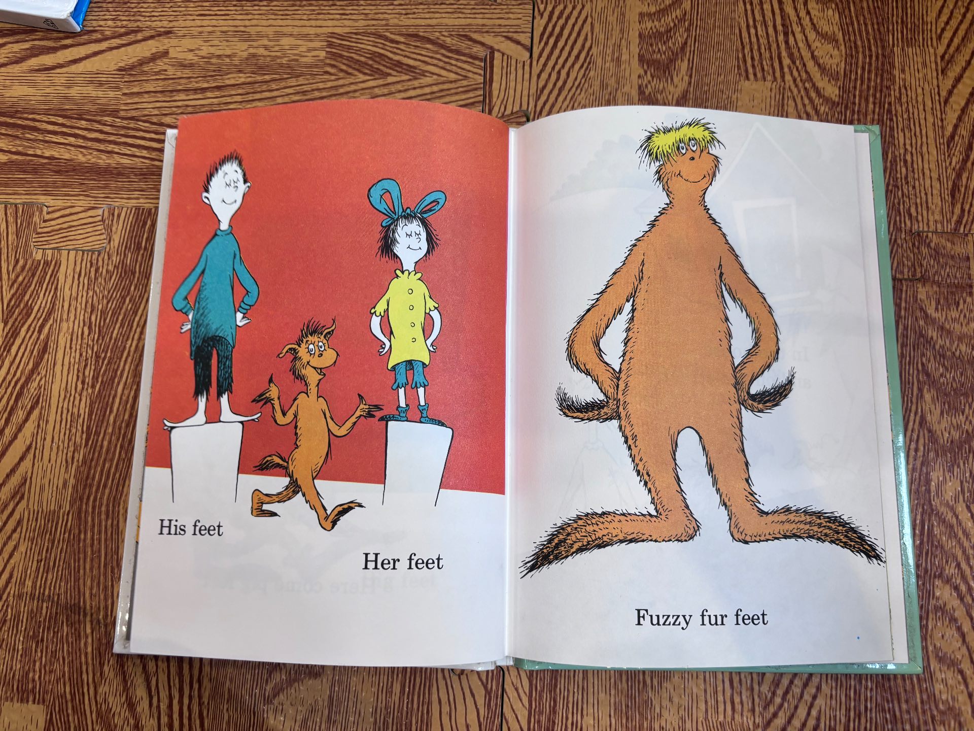 The FOOT Book — ảnh 5