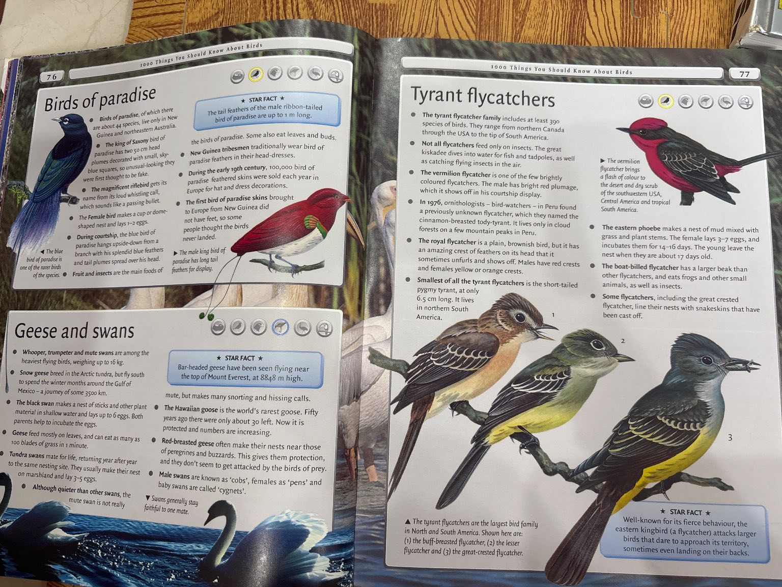 4000 things you should know about Animals — ảnh 4