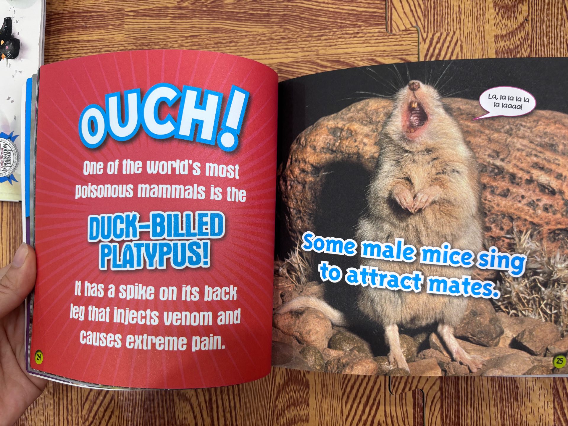 Ripley's Believe It or Not! Kids: Fun Facts & Silly Stories — ảnh 4
