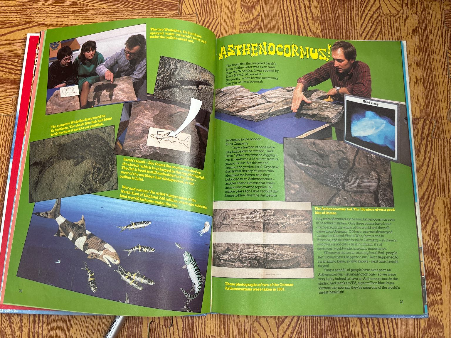 Blue Peter: Book Twenty-One — ảnh 4