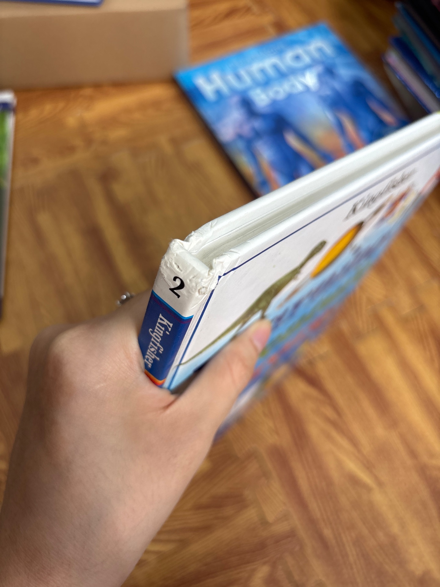 Learning Adventure Library: The Sea — ảnh 6