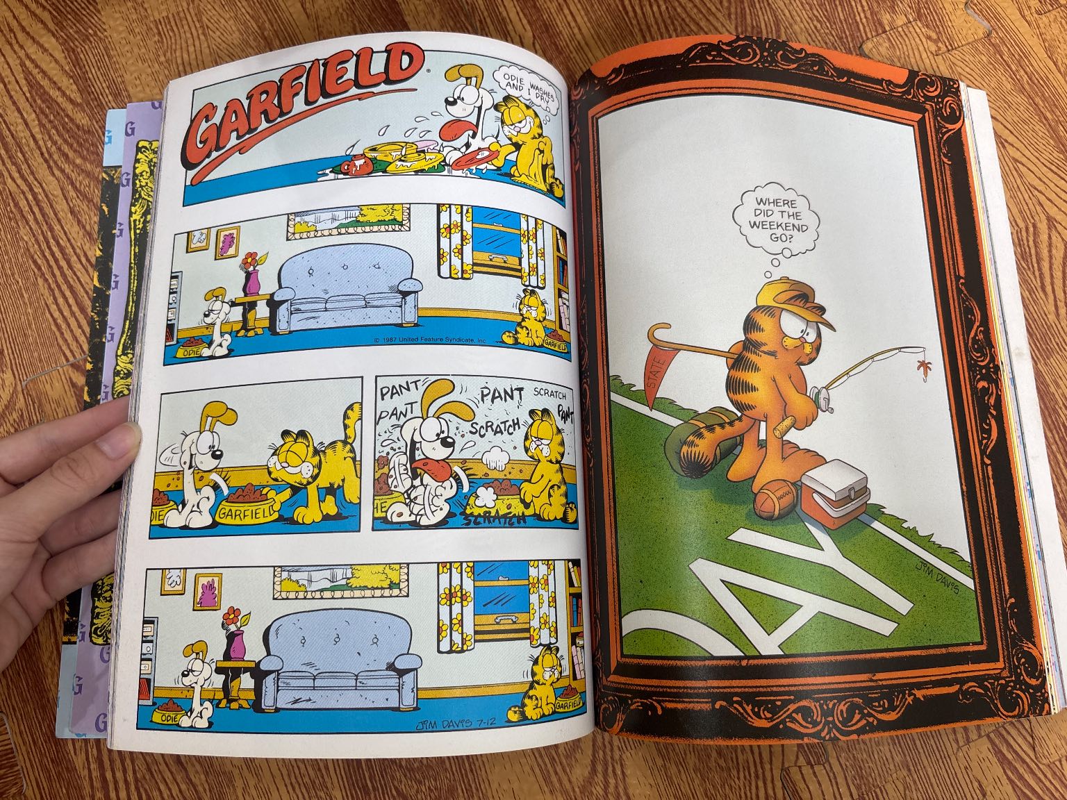 The Garfield Selection — ảnh 4