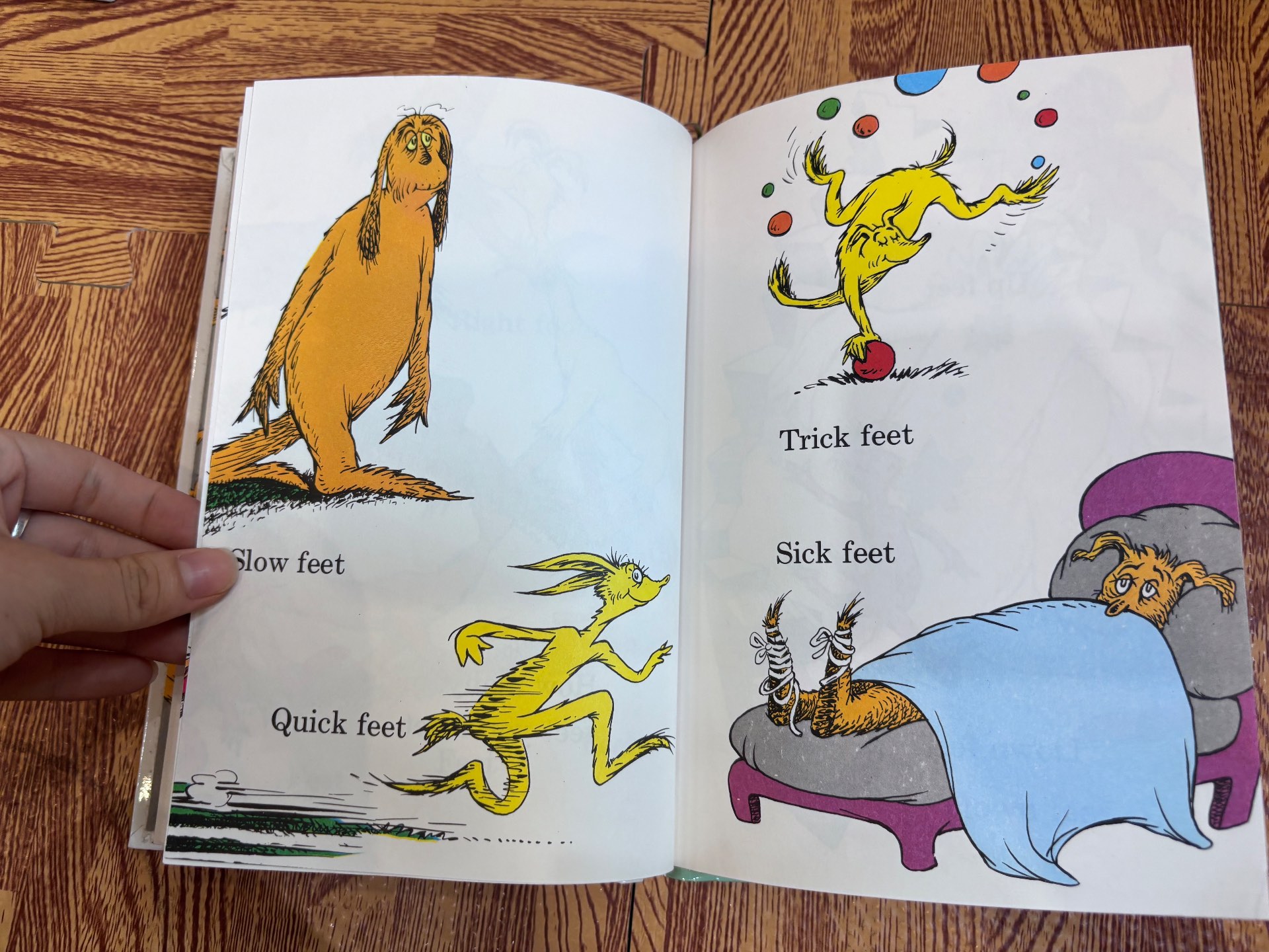 The FOOT Book — ảnh 2