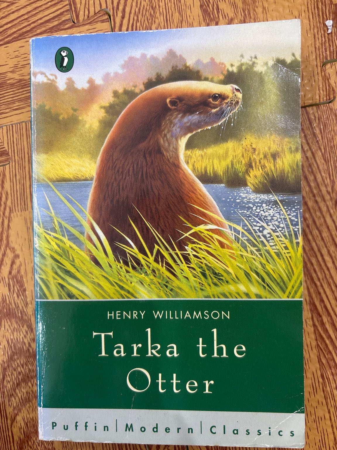 Tarka the Otter — ảnh 1
