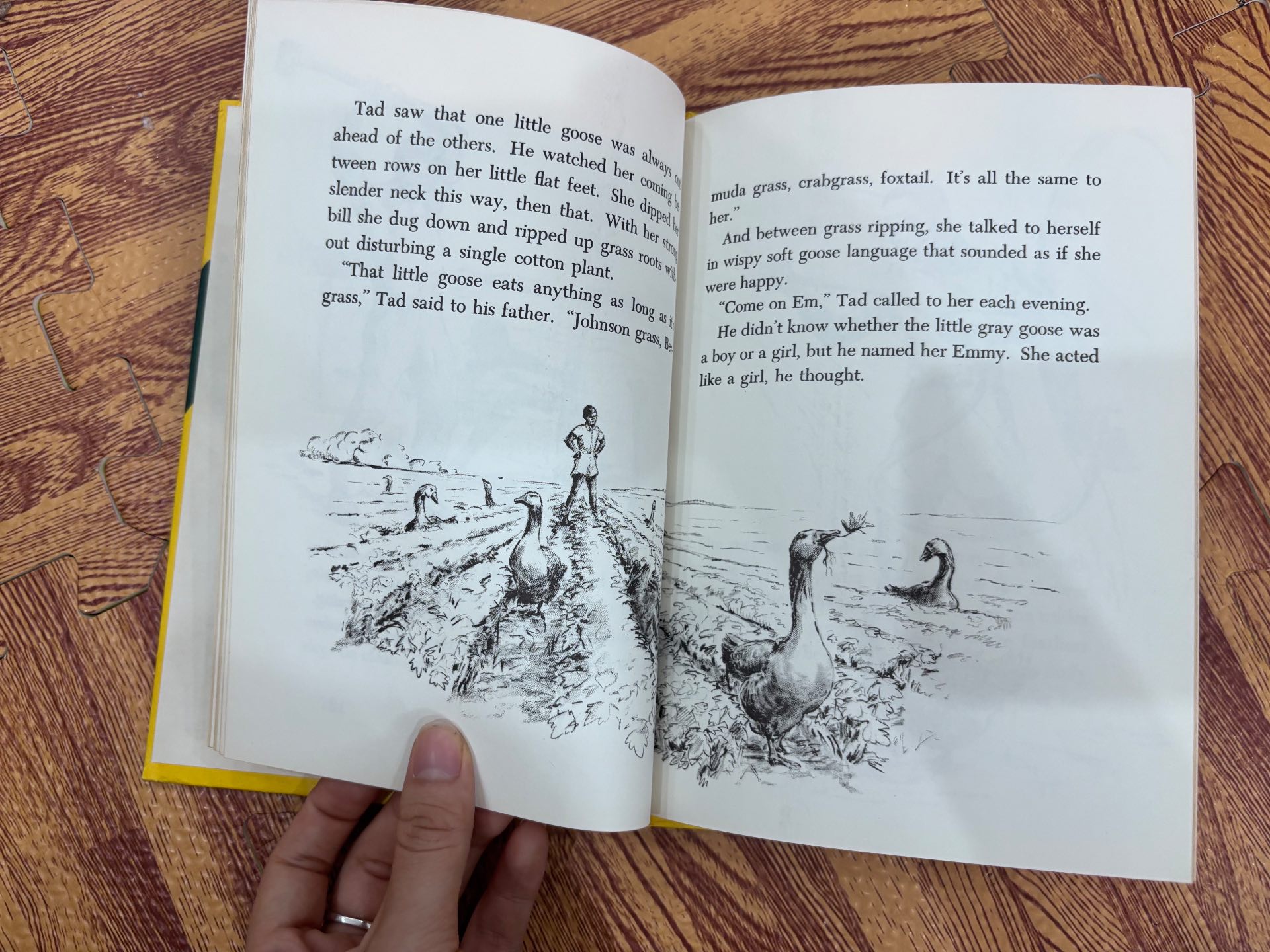 The Goose That Was A Watchdog — ảnh 3