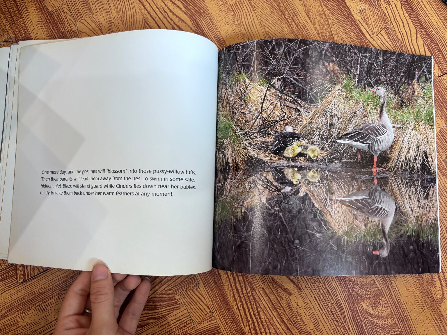The Goose Family Book — ảnh 5