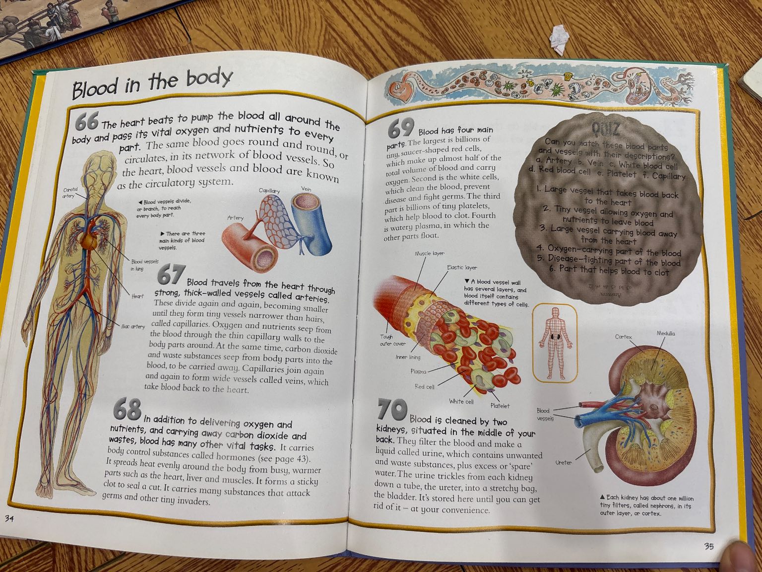 100 things you should know about THE HUMAN BODY — ảnh 5
