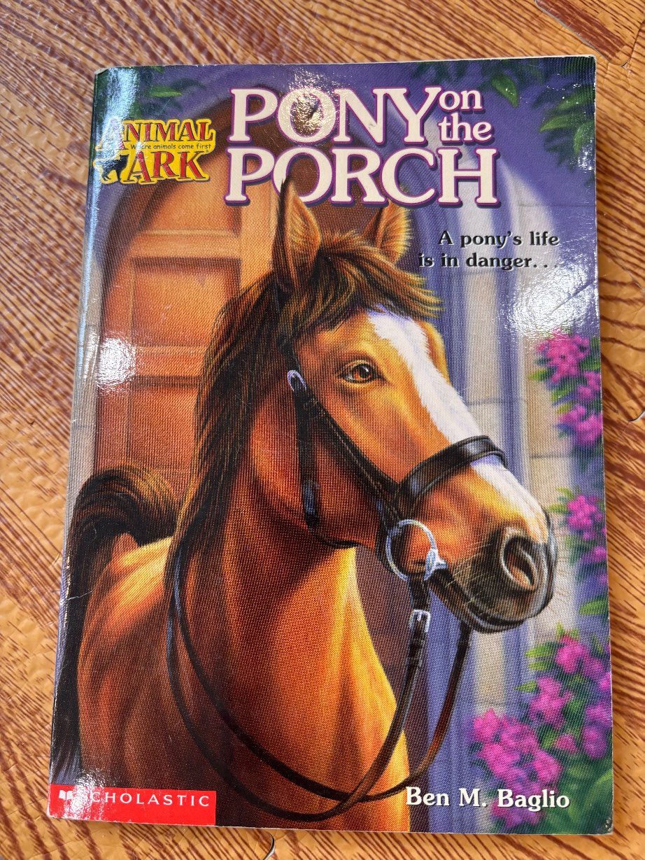 PONY on the PORCH — ảnh 1