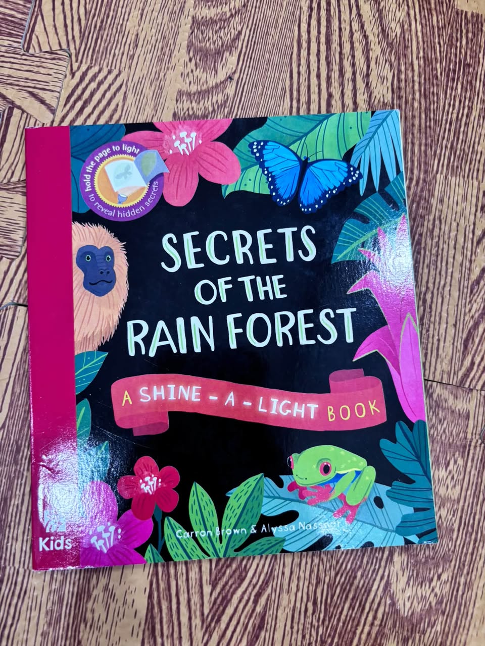 SECRETS OF THE RAINFOREST (A SHINE-A-LIGHT BOOK) — ảnh 1