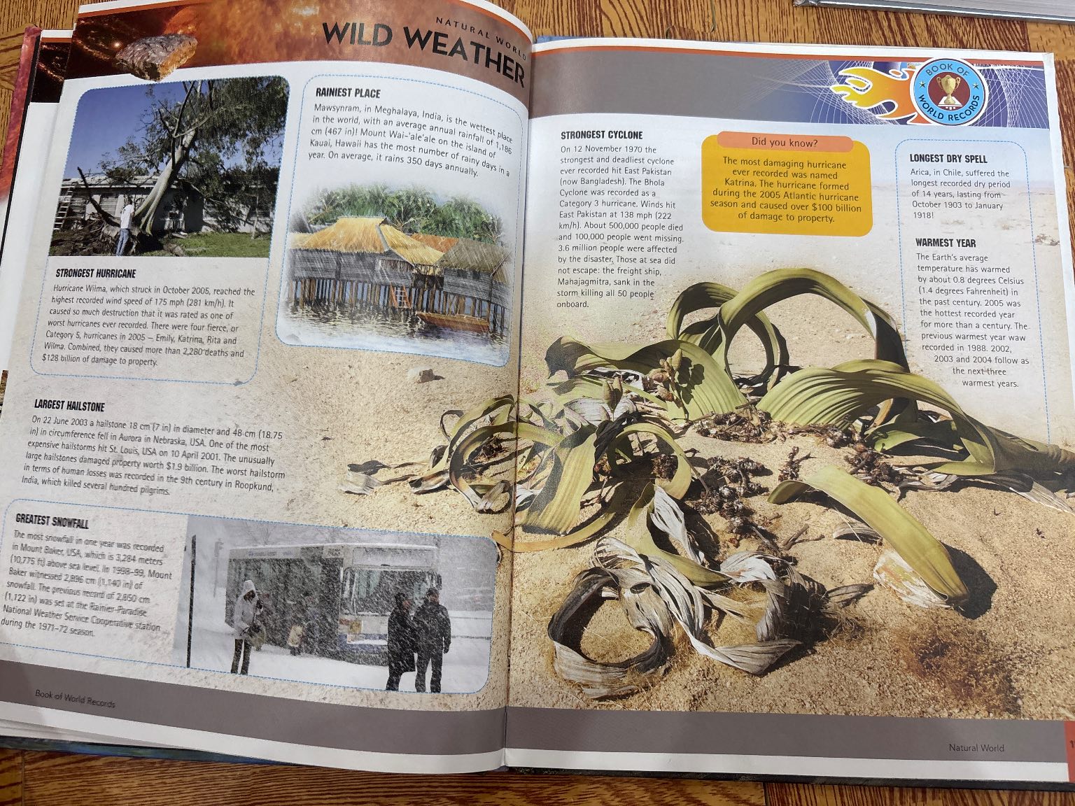 Book of World Records: Natural World — ảnh 3