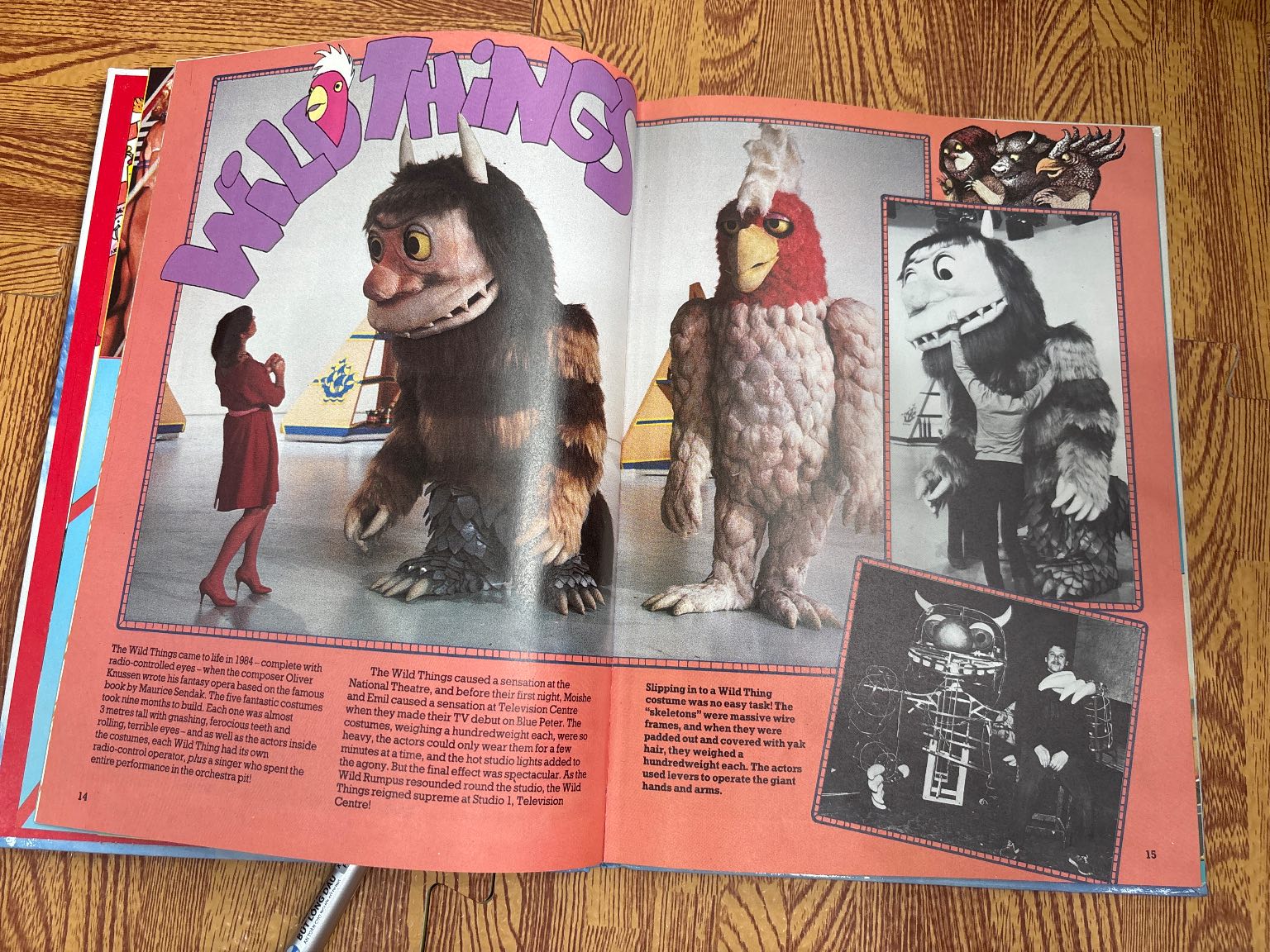 Blue Peter: Book Twenty-One — ảnh 3